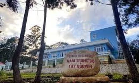 Viện nghiên cứu chiến lược về lâm nghiệp để mất hơn… 2.000 ha rừng