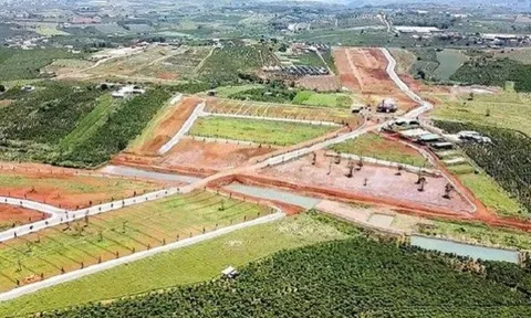 'Sờ gáy' hơn 50 thửa đất Công ty Bất động sản Mãi Thành đã chuyển nhượng