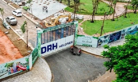 Lợi nhuận sụt giảm mạnh, DRH Holdings vẫn quyết tăng vốn gấp đôi