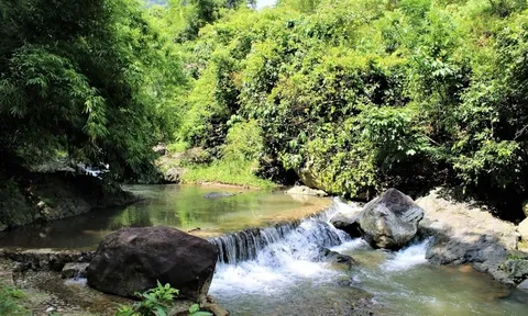 Hòa Bình: Dự án khu du lịch sinh thái Thác Thăng Thiên xây dựng không phép, chồng lấn nhiều hecta đất trồng rừng