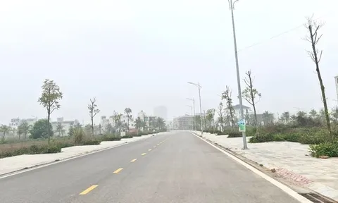 Thanh Hóa: Đề nghị thanh tra 12 dự án 'đất vàng'