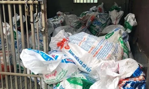 Phát hiện gần 1,6 tấn heo sữa thối từ miền Trung vào TP.HCM tiêu thụ