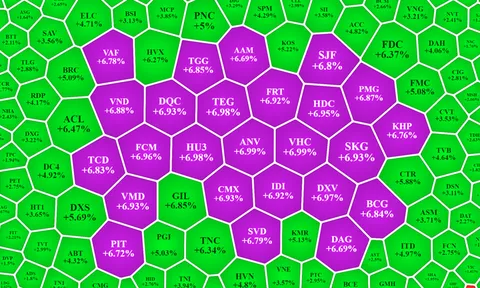 Tiền không vào thêm, cổ phiếu thi nhau tụt dốc