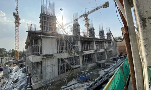 Dự án C-River View của Cường Đô La: Chưa được chuyển mục đích sử dụng đất nhưng đã xây đến tầng 3