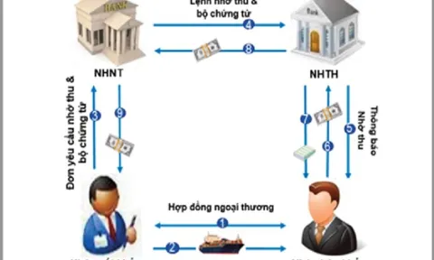 Doanh nghiệp bị lừa, ngân hàng thu hộ vô can?