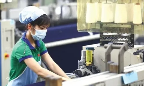 Full Power (FPC) tiếp tục chìm trong thua lỗ, vốn âm hơn 300 tỷ đồng