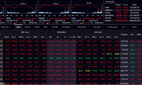 Loạt cổ phiếu hàng hóa bị bán tháo, VN-Index mất mốc 1.450 điểm