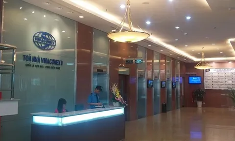 Vinaconex 9 nằm trong 'tầm ngắm' bị hủy niêm yết cổ phiếu