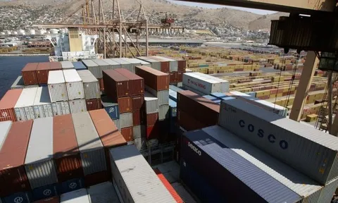 Vụ 100 container điều có nguy cơ bị lừa: Bộ Ngoại giao đang đề nghị phía Italy làm rõ