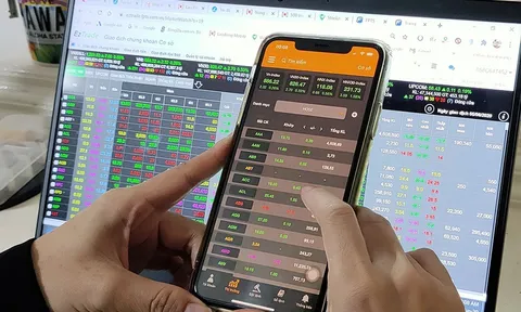 Chứng khoán đang rơi vào 'thị trường Kangaroo'?