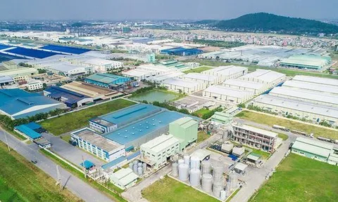 Doanh nghiệp 'non trẻ' được giao dự án gần 500 tỷ đồng ở Quảng Ninh