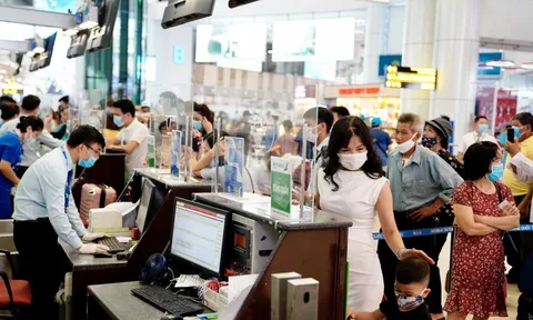 Giá xăng tăng cao, hàng không kêu cứu, đòi tăng giá vé