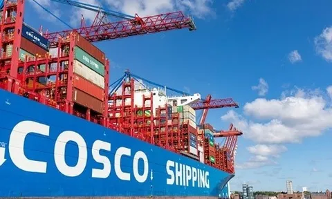 Lô hạt điều xuất khẩu nghi bị lừa: ĐSQ Việt Nam tại Italia thông tin chi tiết