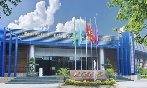 Hé mở khối tài sản hàng trăm triệu USD của anh em 'đại gia' họ Trịnh