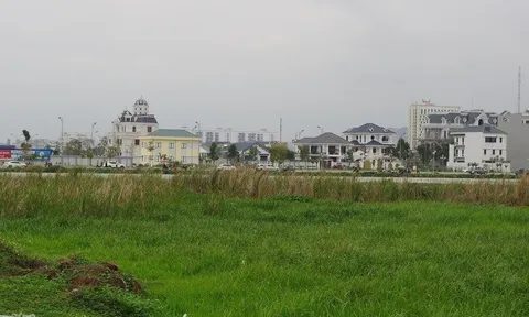 'May mắn' đến bất ngờ của đơn vị trúng đấu giá tại dự án Hồ Sen- Thanh Hóa
