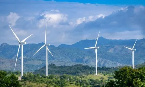 Bến Tre buộc Công ty Tân Hoàn Cầu ngưng thi công dự án điện gió