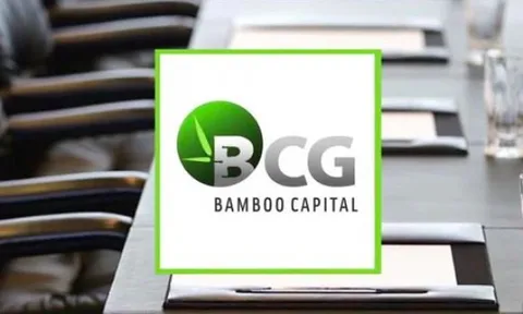 Rót vốn 'khủng' vào dự án năng lượng tái tạo, ngân hàng, Bamboo Capital đang làm ăn ra sao?
