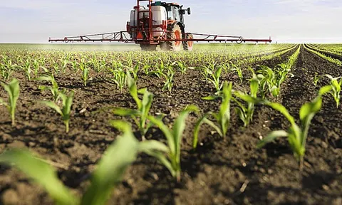 Giá phân bón lên cao kỷ lục, thế giới sẽ rơi vào khủng hoảng lương thực như năm 2008?