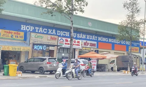 Đồng Nai: Hàng loạt sai phạm liên quan đất 'vàng' của Hợp tác xã Gò Me