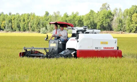 Đông Nam Á thiếu gạo, thế giới lo đối mặt với khủng hoảng lương thực diện rộng