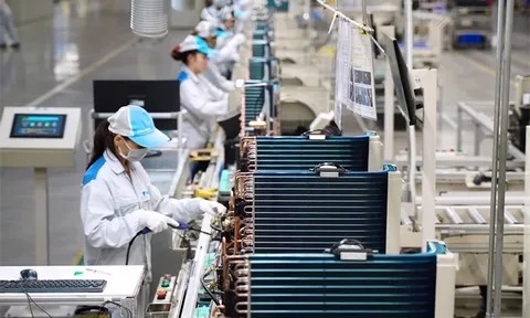 Kinh tế Việt Nam trên đà phục hồi nhưng còn tiềm ẩn nhiều rủi ro