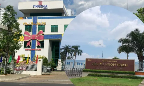 Vụ án liên quan Tổng Công ty Tín Nghĩa: Thanh tra Chính phủ từng kết luận thế nào?