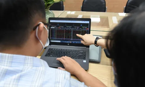 Tài khoản cá nhân tăng kỷ lục, Việt Nam cán mốc 5% dân số đầu tư chứng khoán