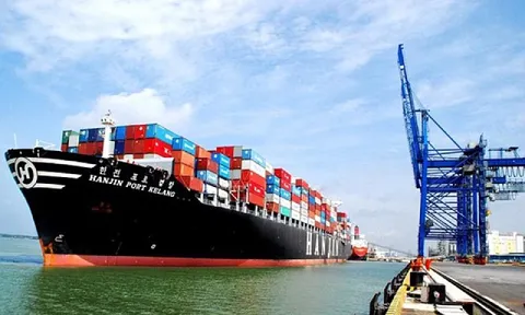 Vụ lừa đảo 100 container hạt điều tại Italia: Doanh nghiệp Việt Nam thật thà quá!