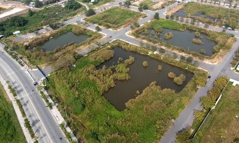 Dream Republic và Sheen Mega xin trả góp tiền trúng đấu giá đất Thủ Thiêm