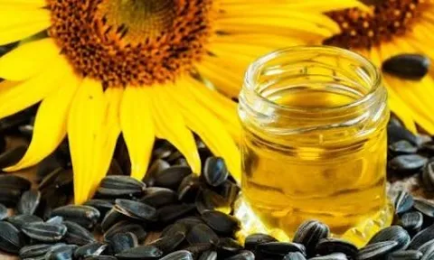 Xung đột Nga-Ukraine: Khủng hoảng thiếu dầu hướng dương nguy hiểm như thiếu dầu mỏ