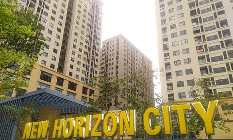 Chung cư New Horizon City 87 Lĩnh Nam: Tiếp diễn tình trạng cư dân phải cho xe vào thang máy mang lên căn hộ vì không có chỗ để