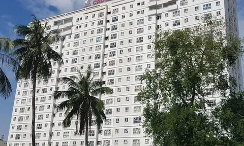 Vì sao cả hai dự án chung cư của Địa ốc Sài Gòn nhiều năm chậm giao sổ hồng?