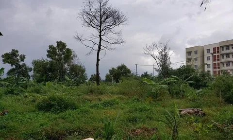 Loạt khu đất 'vàng' ở Đà Nẵng 'vườn không nhà trống' suốt nhiều năm, vì sao?