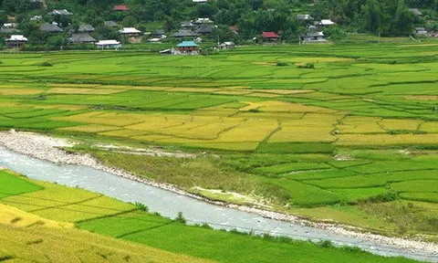 Vĩnh Phúc: Doanh nghiệp tự ý chuyển đổi, quây bao hàng nghìn m2 đất lúa