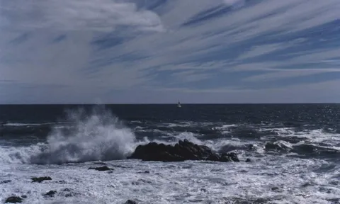 Xuất hiện vùng áp thấp trên Biển Đông, có khả năng mạnh thêm