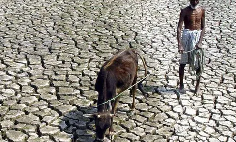 40% diện tích đất trên thế giới đang bị thoái hóa