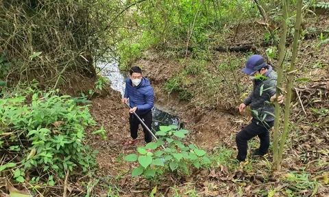 Quảng Trị: Phát hiện trang trại lợn xả thải trái phép ra sông bằng ống ngầm