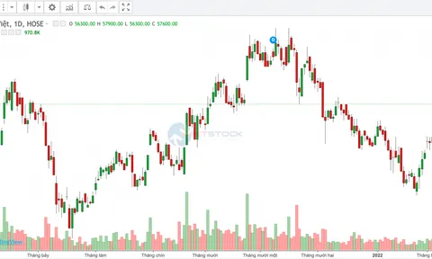 TẬP ĐOÀN BẢO VIỆT GẶP KHÓ TRONG "BẢO HIỂM" TÀI CHÍNH CHO CHÍNH MÌNH?