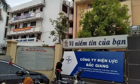 Công ty Điện lực Bắc Giang: 'Núp bóng' xuất xứ hàng hóa để hạn chế nhà thầu?