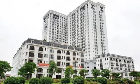 Công ty Cổ phần Cơ điện Công trình hạn chế huy động tiền vào sản xuất kinh doanh