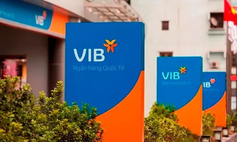 Ngân hàng VIB và nỗi lo chất lượng nợ xấu