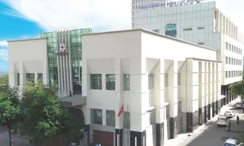 Nhiều sai sót trong công tác đấu thầu tại Tổng công ty Điện lực miền Nam