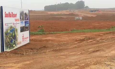 Thanh Hóa: Cận cảnh dự án hơn 70ha của Tập đoàn Sao Mai nằm trong danh sách Thanh tra