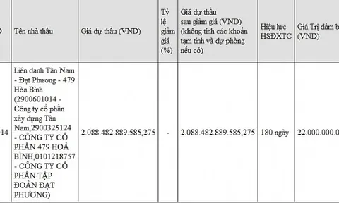 Đạt Phương liên tục trúng thầu các dự án khủng ở miền Trung