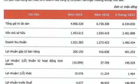 Tiết lộ tình hình tài chính của chủ đầu tư Flamingo Đại Lải