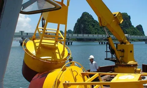 Một nhà thầu giao thông bị cấm đấu thầu 3 năm vì khai thông tin gian dối