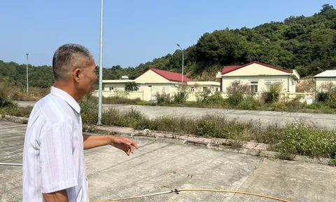 Quảng Ninh: Thanh tra toàn diện 'công trình làm nghèo đất nước' ở vịnh Bái Tử Long