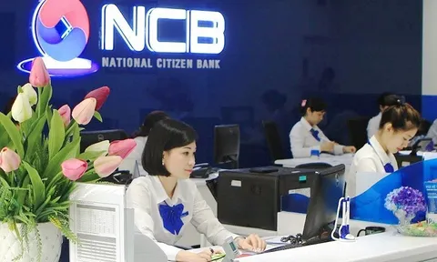 Ai đã chi hơn 2.700 tỷ đồng gom cổ phiếu NVB của Ngân hàng TMCP Quốc Dân?