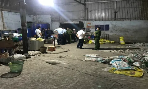 Công ty Trang Điền tiếp tục vi phạm về sản xuất phân bón Con Bò Vàng