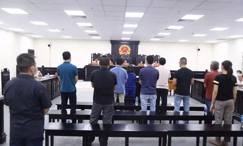 Hàng loạt Công ty bị lừa đảo chứng khoán gần 300 tỷ đồng